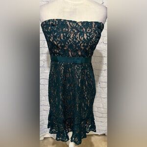 The Limited Strapless Green Lace Cocktail Drsss Size 8